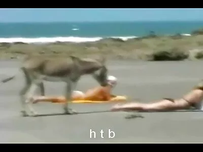 Wunderschöne, zierliche Blondine braucht einen großen schwarzen deutsche reife frau porn Schwanz